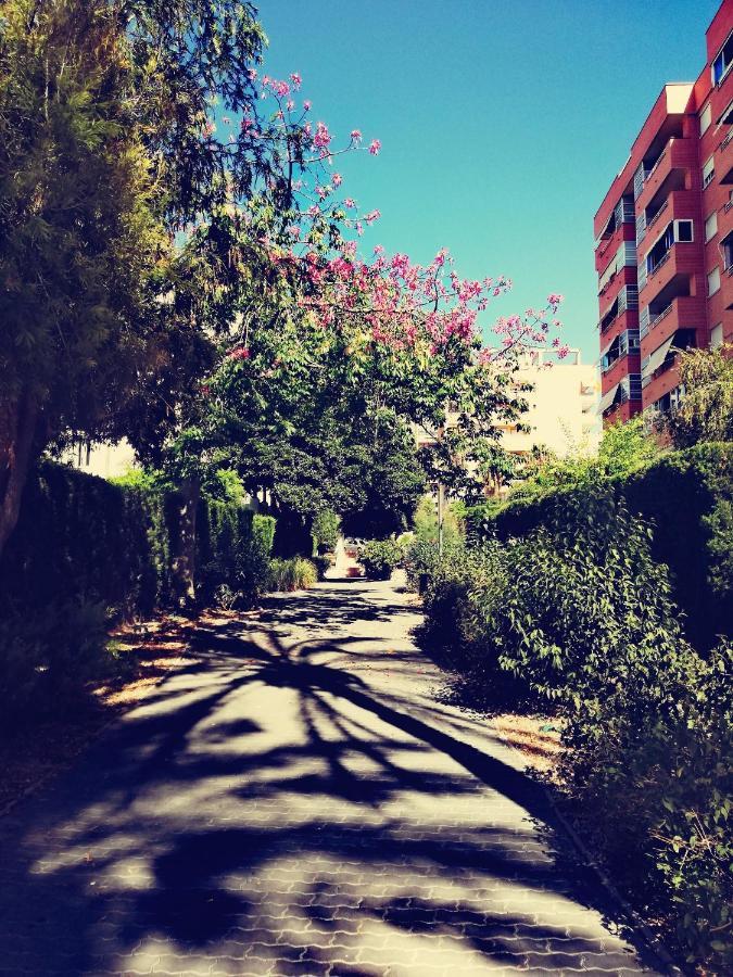 Casablanca Mediterranean Benidorm Eksteriør billede