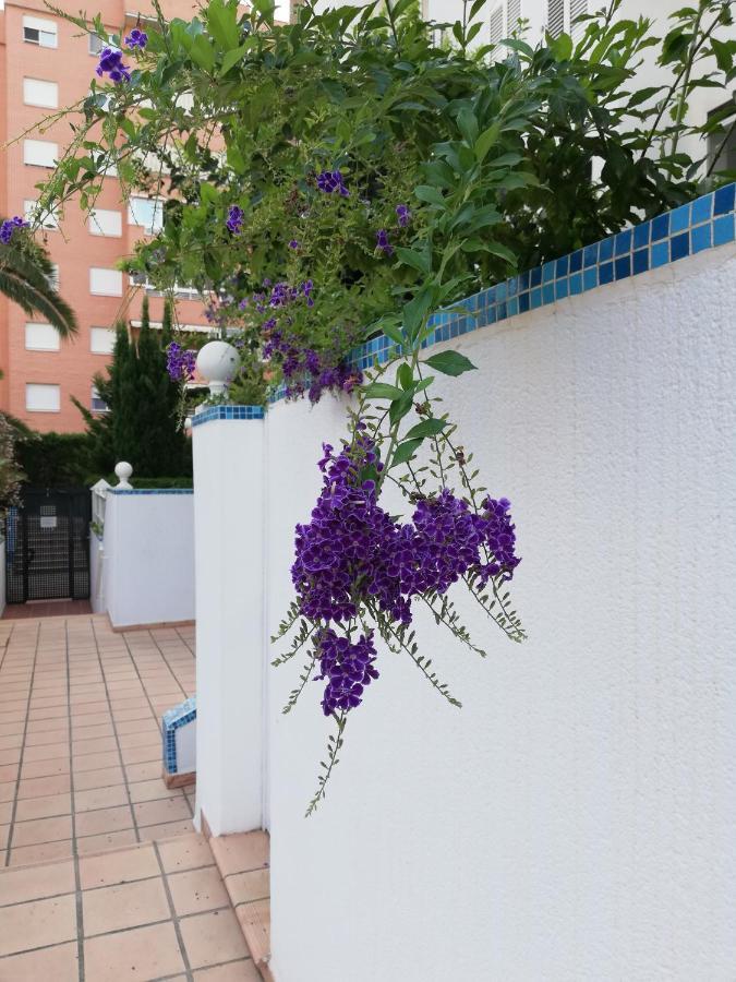 Casablanca Mediterranean Benidorm Eksteriør billede